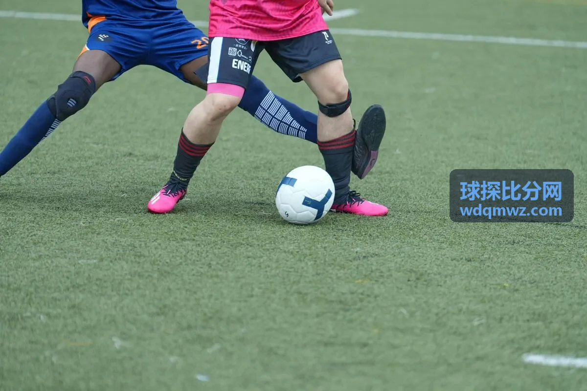 球探比分网 - 实时竞彩数据参考